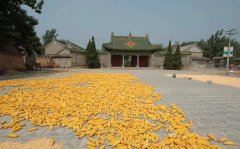 四大名镇中唯一的北方古镇 藏着慈禧和鲁迅都叫绝的传奇美味