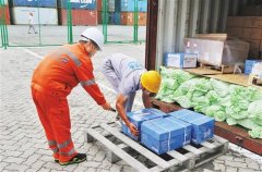 天津口岸开通国际中转集拼业务