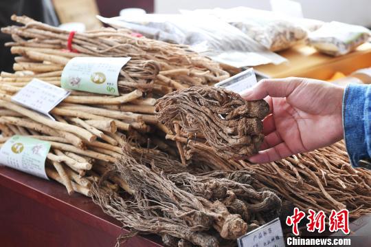 甘肃“中医药经济”提质增效产业链日趋完善助脱贫