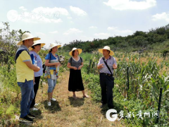 贵州省农业农村厅加强转基因生物安全监管