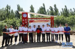 绿色大棚项目落地 新华网携手欢瑞世纪践行公益扶贫