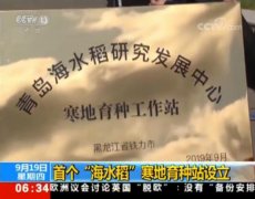 国内首个“海水稻”寒地育种站设立