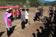 太白县市场监督管理局开展中药材种植培训会