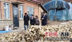 吉林省推行“政银联合”助贫困县摘帽