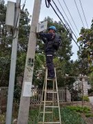 中国电信厦门分公司多措并举推进农村通信网络专项整治显成效