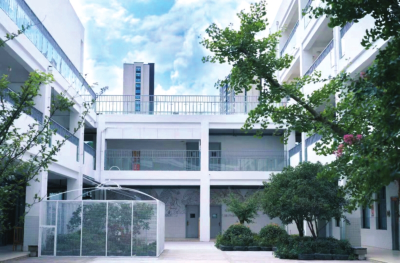 南环实验小学的大鸟笼。 图片由学校提供