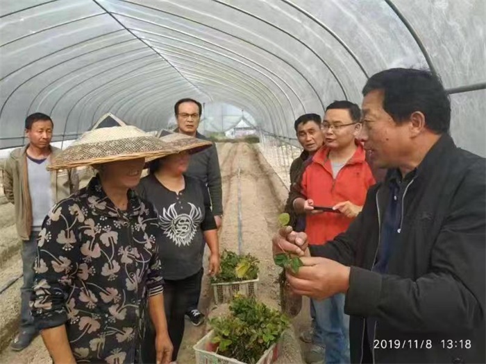 济南湘西——“精准滴灌”校准扶贫协作“靶向”