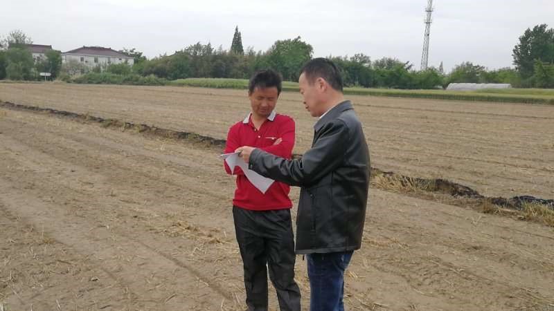 中国太保创新泰州市水稻收入扶贫保险项目 助力精准扶贫