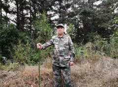 防范新型冠状病毒，除了西医戴口罩，还有中医绝招