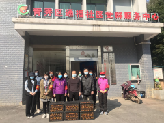通福社区：党旗飘扬在一线 党员捐赠助抗“疫”