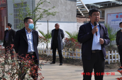 人居环境小观摩 美丽乡村大提升 