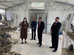 我为群众办实事|院长走访企业 提升服务效能