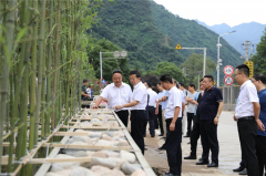 陕西宝鸡渭滨区召开第三次乡村振兴现场推进会